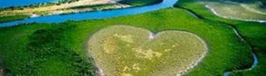 Diane Baran Formations