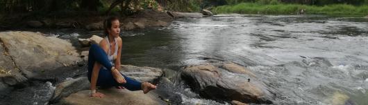 S&D Coach'In (Sandie Yang)