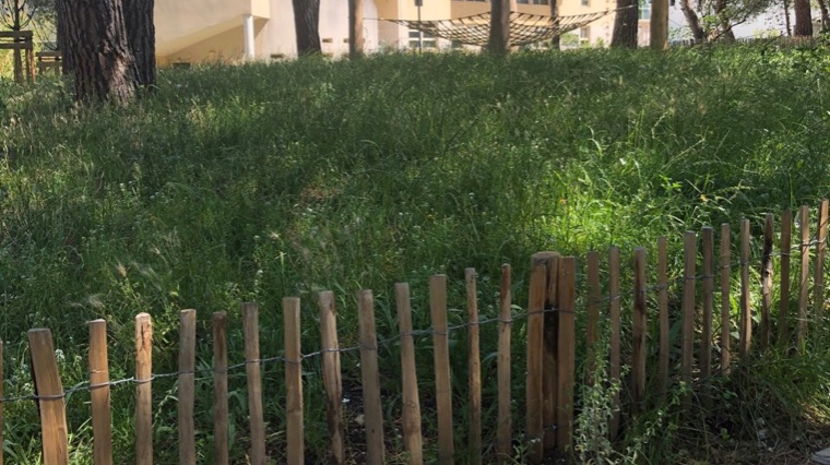 Université de Montpellier