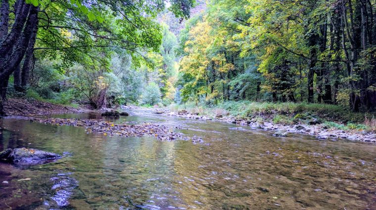 Yoga Shala Lozère / SofroYogy
