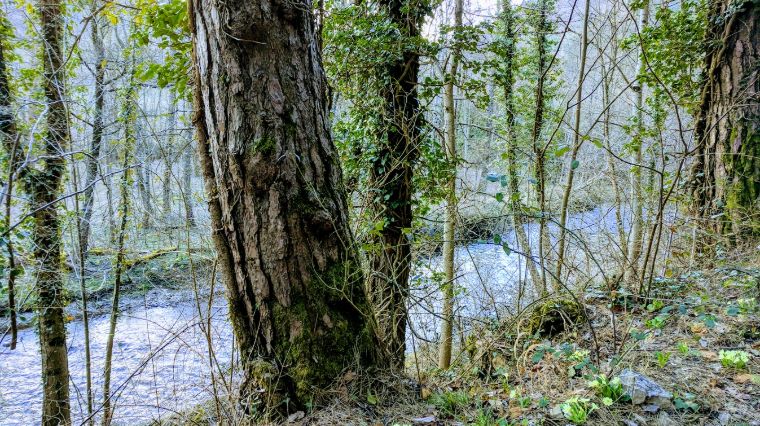 Yoga Shala Lozère / SofroYogy