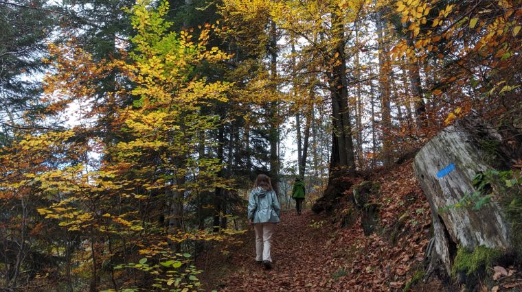Yoga Shala Lozère / SofroYogy